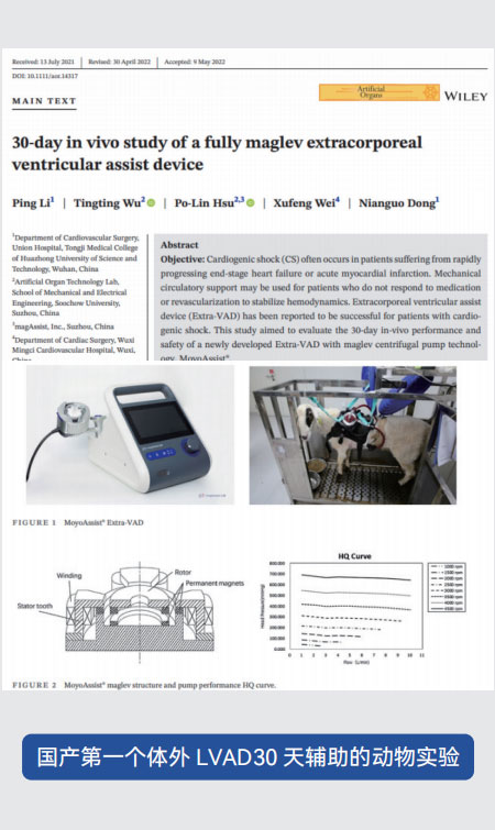 第一個(gè)體外LVAD30 天輔助的動(dòng)物實(shí)驗(yàn)