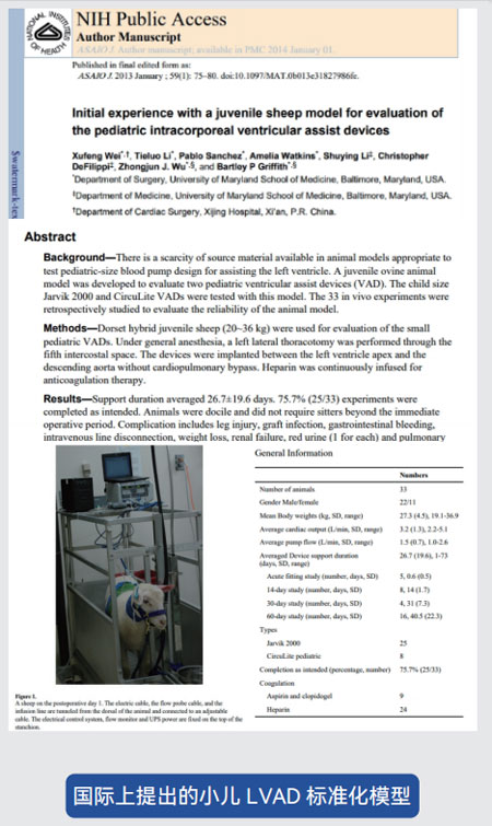 東莞市凱迪膠粘科技有限公司