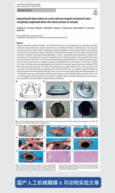 東莞市凱迪膠粘科技有限公司