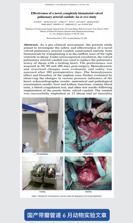 東莞市凱迪膠粘科技有限公司