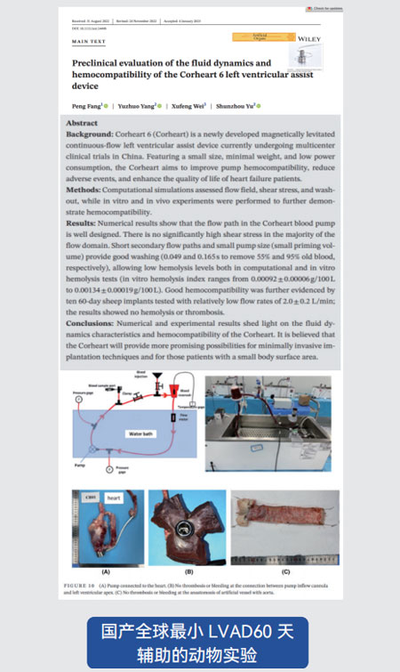 東莞市凱迪膠粘科技有限公司