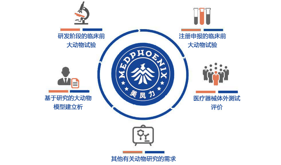 服務(wù)項(xiàng)目