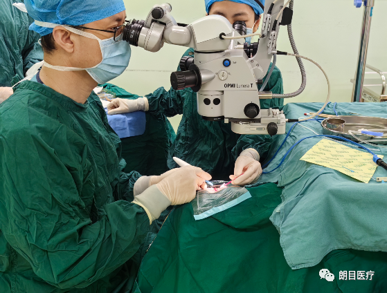 1693372766306064.png 9128527385ca2dc59e07fcc9d7c17a6e.png