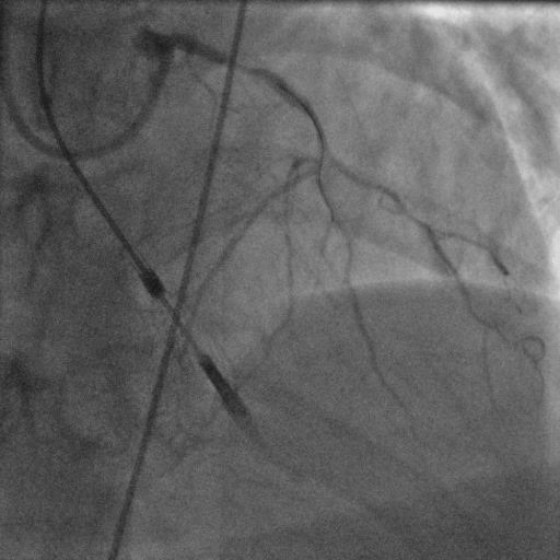 1692758256610998.png e1a0d85d0334180ac121529685412980.png