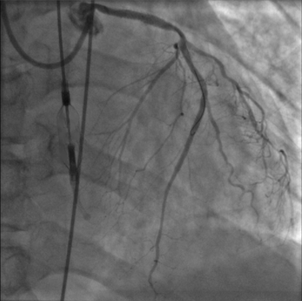 1692758242108699.png 1692758242108699.png