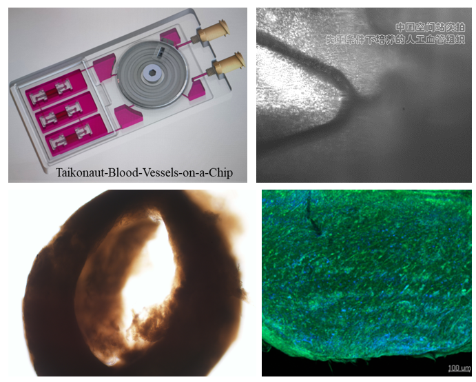 1692758145184549.png ae027cf4e5cd21b9ad7f7e63e95eb731.png