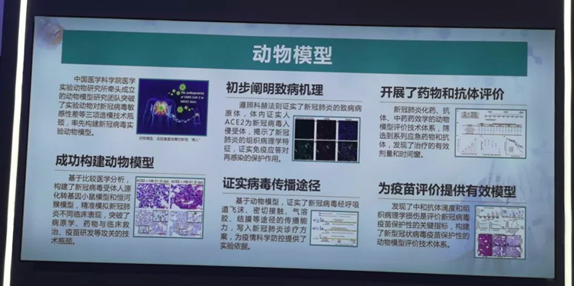 我單位COVID19疫苗保護(hù)性的動(dòng)物模型評(píng)價(jià)技術(shù)亮相國(guó)家十三五科技創(chuàng)新成就展