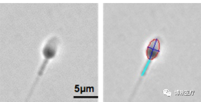 1689928358999505.png 4cd4da64ad74f47fa4c34514fef6093b.png