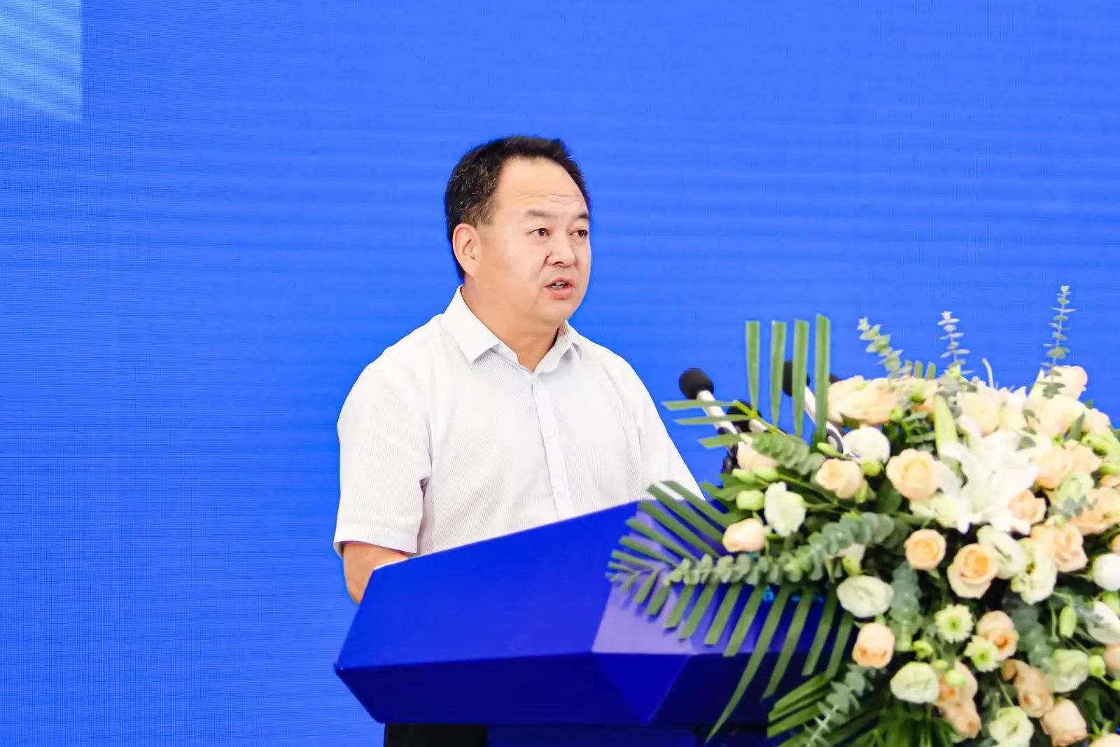 1693374566165140.jpg 1693374566165140.jpg