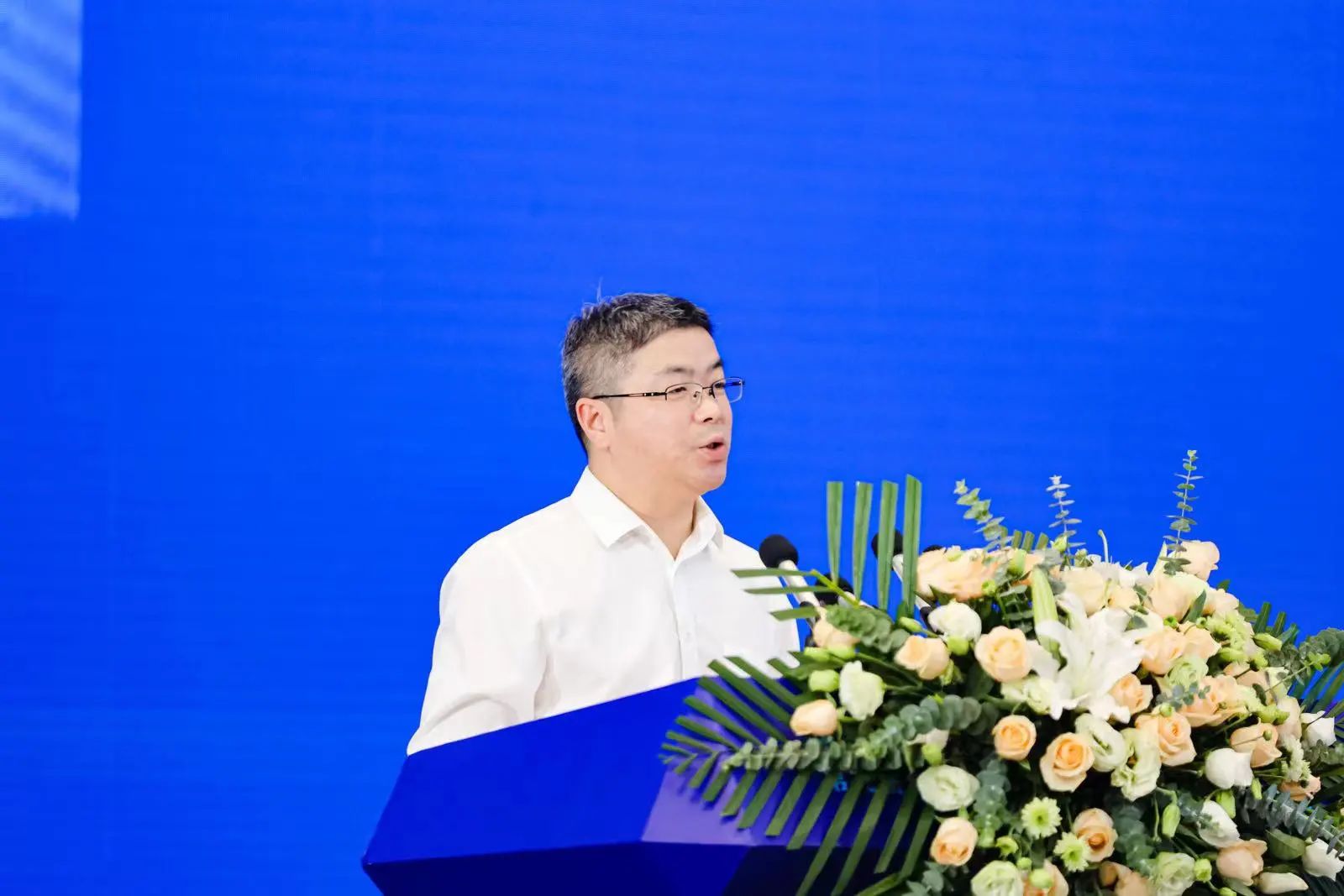 1693374580326772.jpg 1693374580326772.jpg