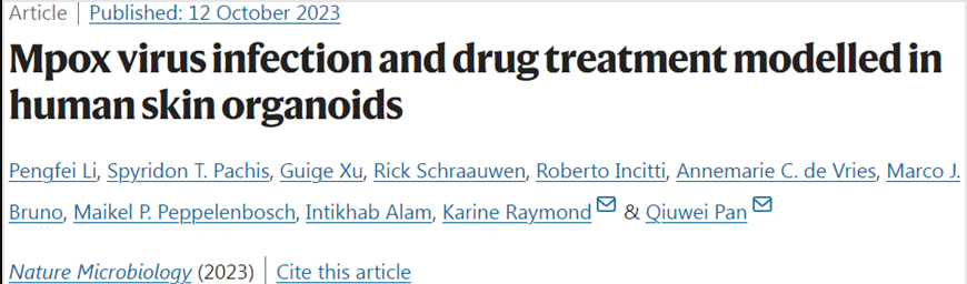 Nat Microbiol：實(shí)驗(yàn)室培育的人類(lèi)皮膚類(lèi)器官有助揭示猴痘病毒感染之謎