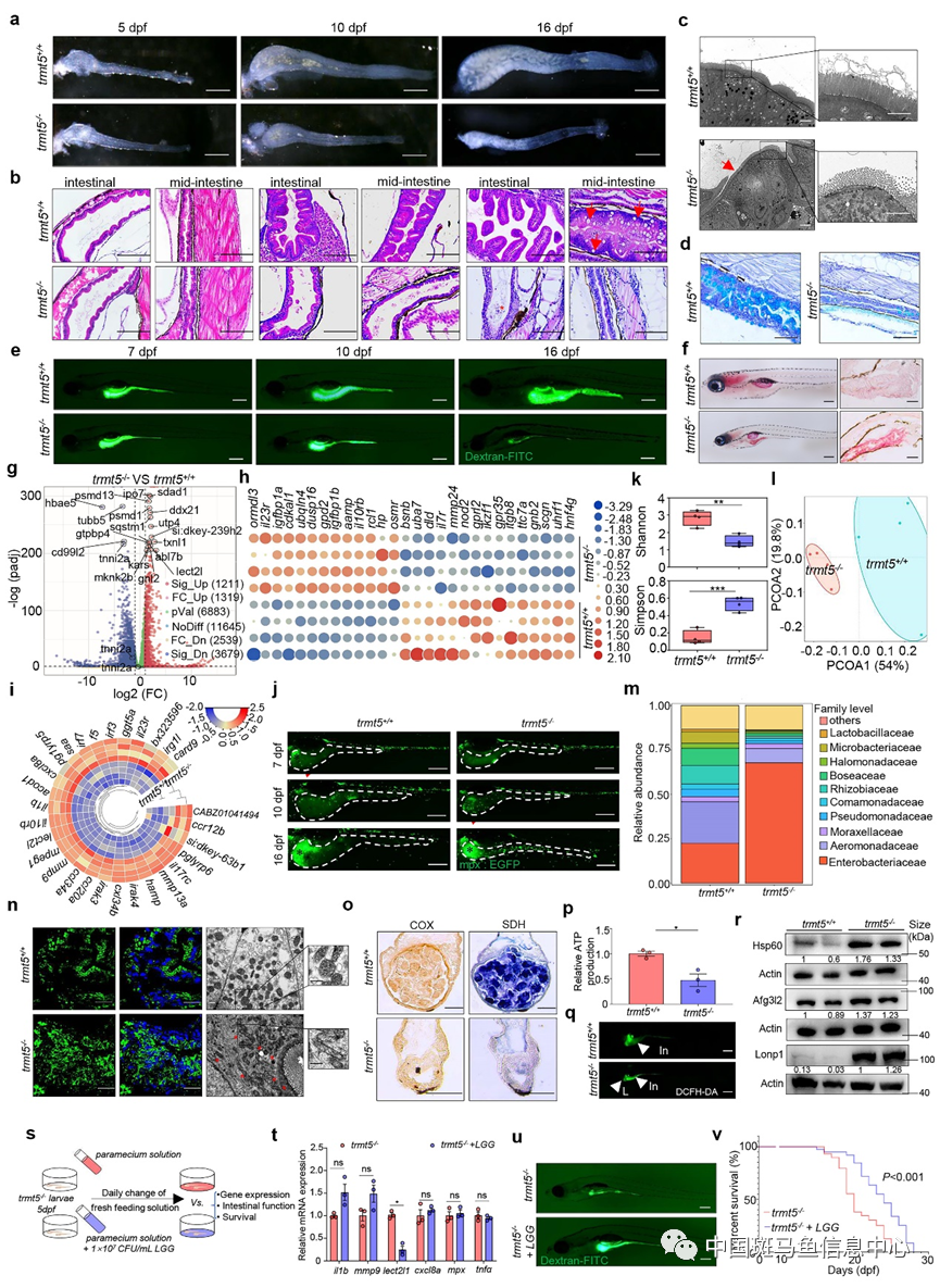 微信圖片_20230307175343.png 微信圖片_20230307175343.png