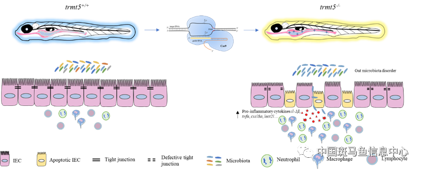 微信圖片_20230307175336.png 微信圖片_20230307175336.png