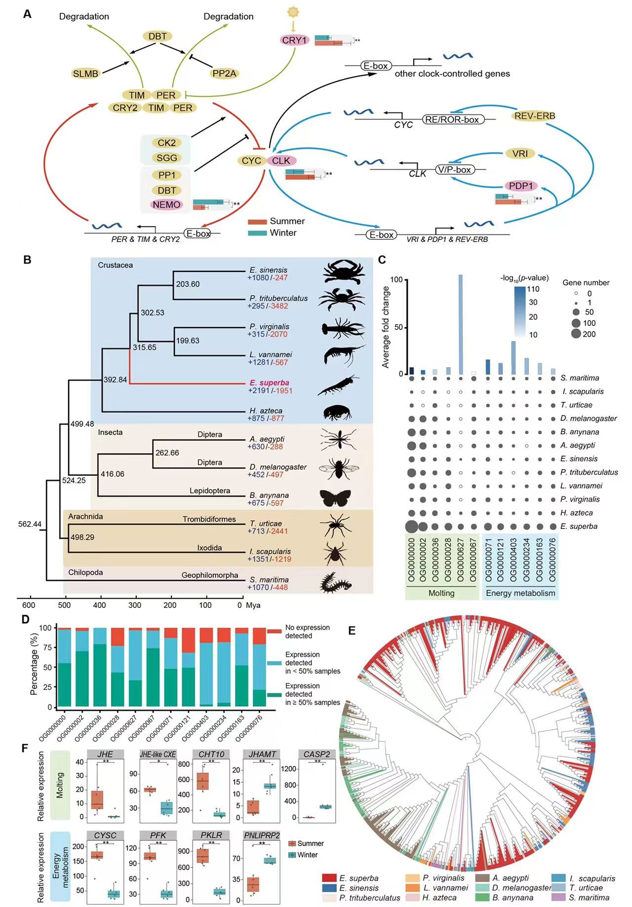 微信圖片_20230307103100.jpg 微信圖片_20230307103100.jpg