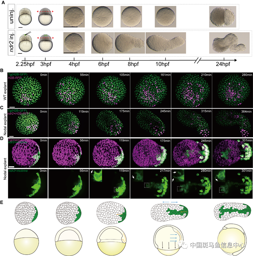 微信圖片_20230410122436.png 微信圖片_20230410122436.png