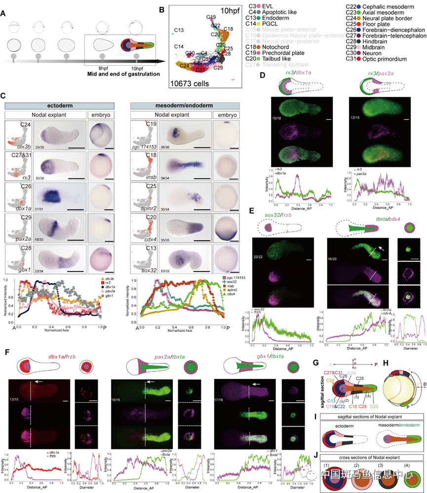 微信圖片_20230410122431.png 微信圖片_20230410122431.png
