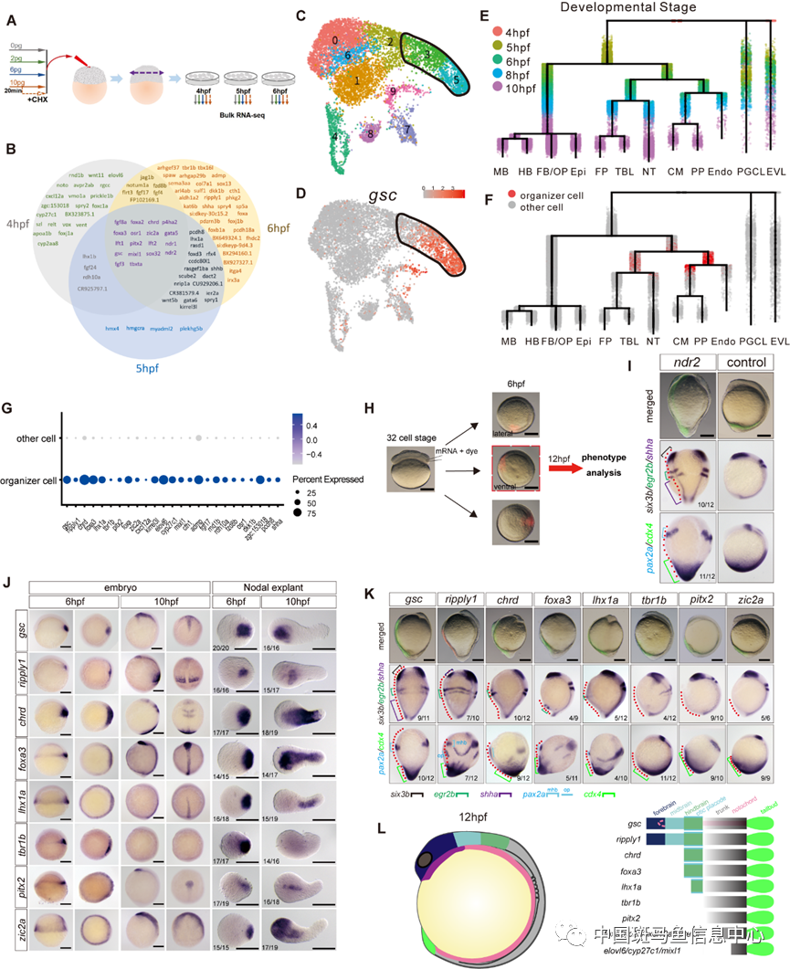 微信圖片_20230410122426.png 微信圖片_20230410122426.png
