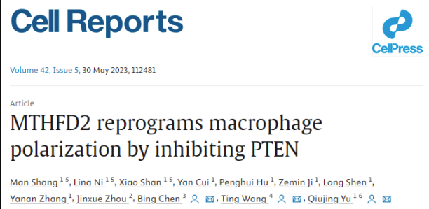 天津醫(yī)科大學(xué)余秋景教授等團(tuán)隊(duì)揭示MTHFD2通過(guò)抑制PTEN調(diào)控巨噬細(xì)胞極化