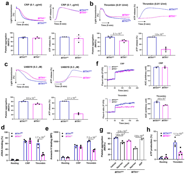 血小板線(xiàn)粒體氧化損傷修復(fù)的新機(jī)制