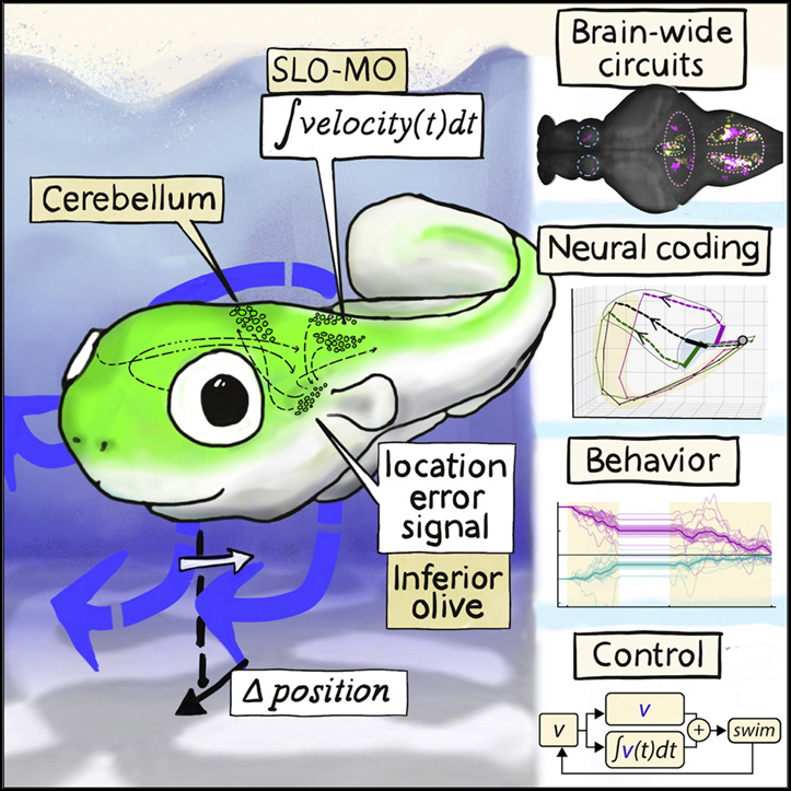 20230103103336457.png 20230103103336457.png