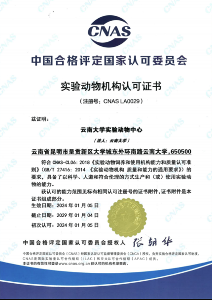 【云南】云南大學(xué)實(shí)驗(yàn)動物中心順利通過CNAS實(shí)驗(yàn)動物機(jī)構(gòu)認(rèn)可-江蘇網(wǎng)站制作
