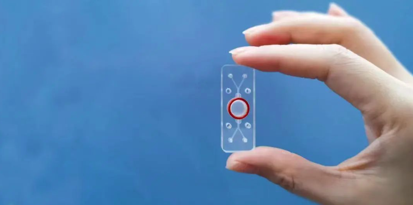 中國(guó)首個(gè)使用心臟器官芯片數(shù)據(jù)新藥獲批進(jìn)入臨床試驗(yàn)-江蘇網(wǎng)站制作