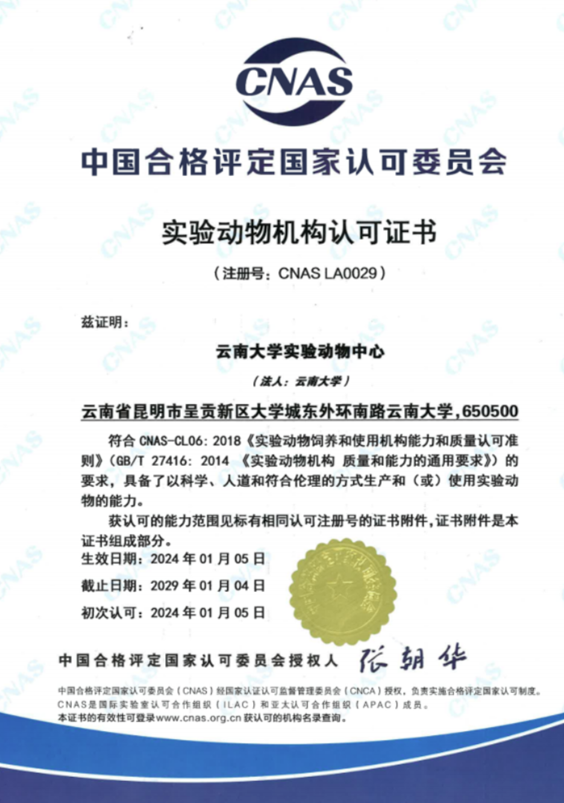 【云南】云南大學(xué)實(shí)驗(yàn)動(dòng)物中心順利通過CNAS實(shí)驗(yàn)動(dòng)物機(jī)構(gòu)認(rèn)可
