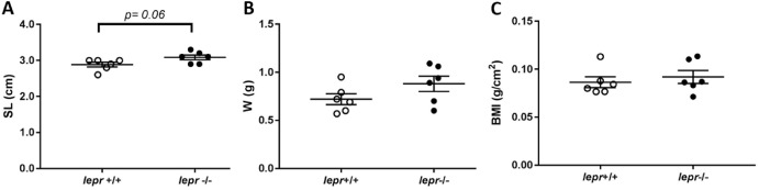 1-s20-S0303720722000429-gr2.jpg 1-s20-S0303720722000429-gr2.jpg