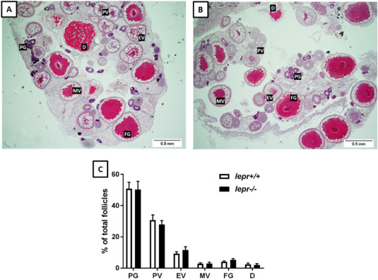 1-s20-S0303720722000429-gr3.jpg 1-s20-S0303720722000429-gr3.jpg