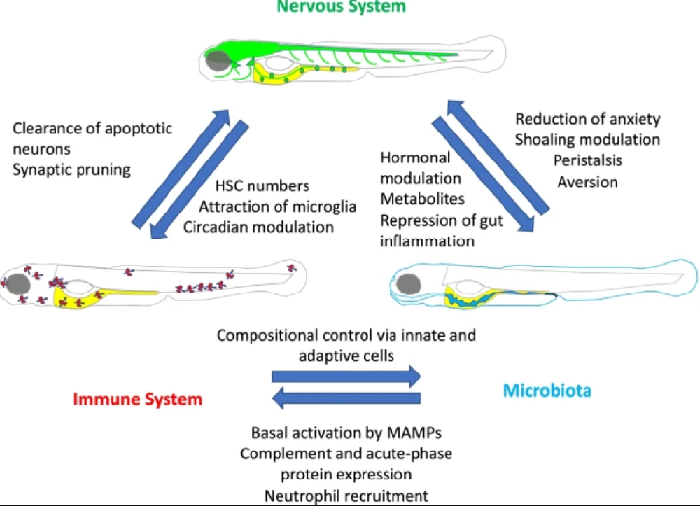 捕獲1.PNG 捕獲1.PNG