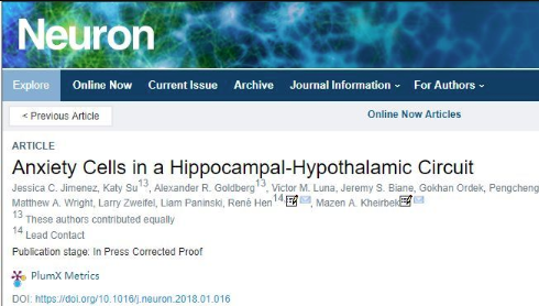 小鼠海馬體內(nèi)發(fā)現(xiàn)了焦慮細胞！高架十字迷宮和曠場實驗可評價小鼠焦慮水平