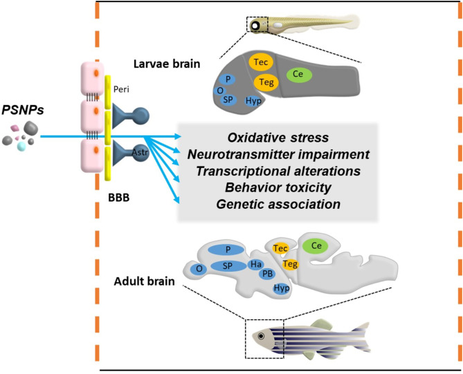 1-s20-S1532045622001636-gr2.jpg 1-s20-S1532045622001636-gr2.jpg