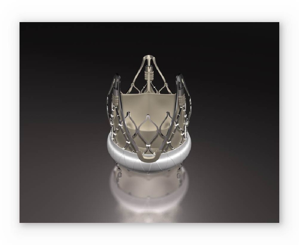 【項(xiàng)目跟蹤】Ken-Valve于我實(shí)驗(yàn)室完成臨床前動(dòng)物試驗(yàn)