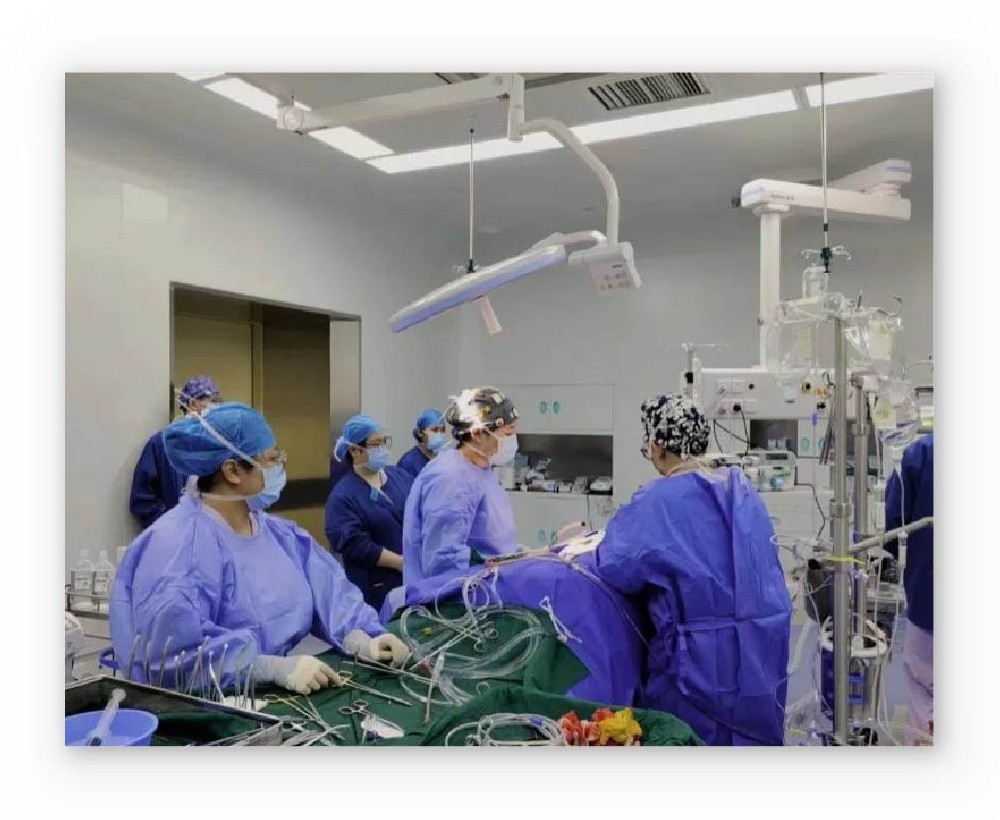 再助力 | 祝賀全球首個(gè)經(jīng)胸介入肺動(dòng)脈瓣系統(tǒng)完成注冊(cè)臨床試驗(yàn)