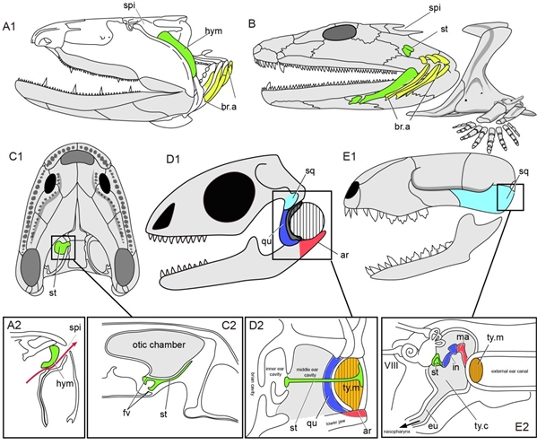 2022529224986340.jpg 2022529224986340.jpg