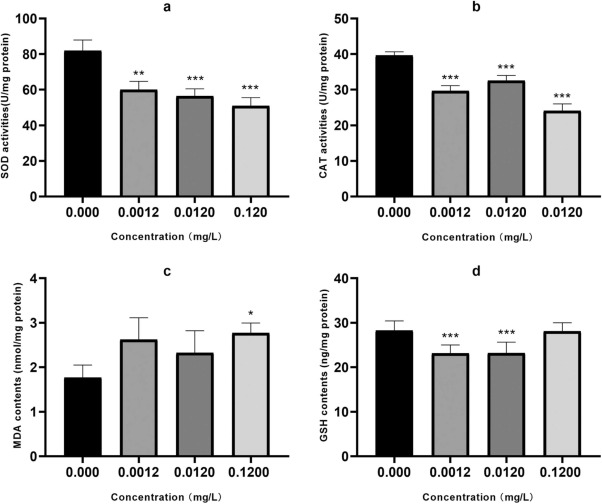 斑馬魚(yú)試驗(yàn)：IPPD誘導(dǎo)生長(zhǎng)抑制及其機(jī)制