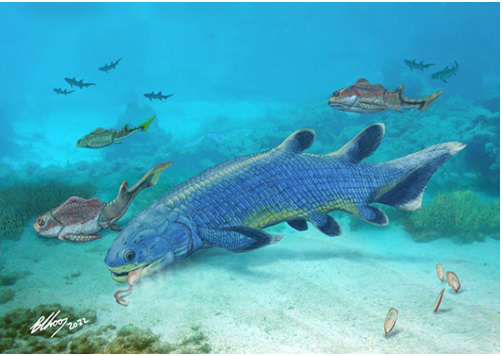 Nature Communications:揭示肺魚類食殼性起源與快速演化