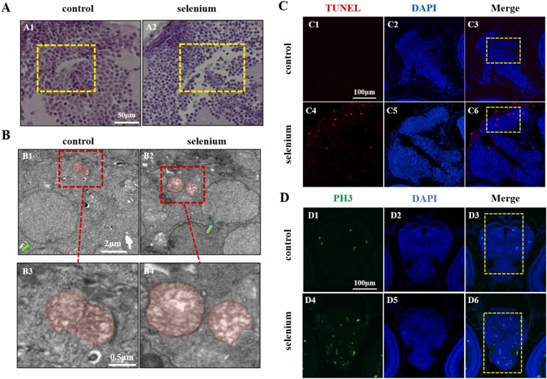1-s20-S0147651322004511-gr2.jpg 1-s20-S0147651322004511-gr2.jpg