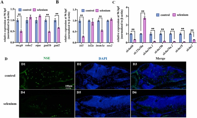1-s20-S0147651322004511-gr4.jpg 1-s20-S0147651322004511-gr4.jpg