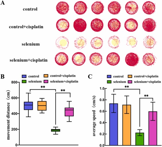 斑馬魚試驗(yàn)：過量硒會(huì)影響胚胎的神經(jīng)發(fā)育和運(yùn)動(dòng)行為