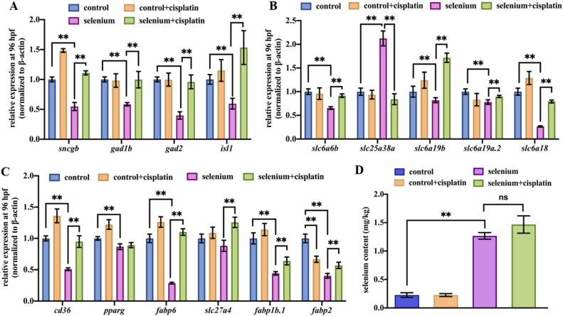 1-s20-S0147651322004511-gr7.jpg 1-s20-S0147651322004511-gr7.jpg