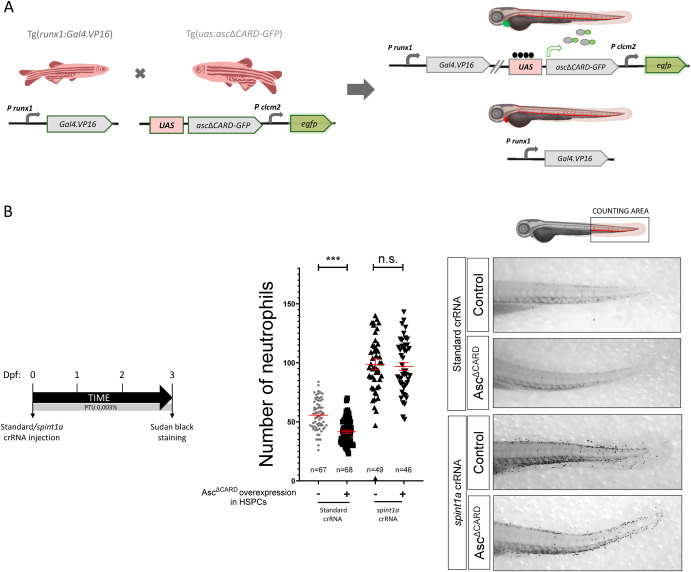 1-s20-S0145305X22000660-gr3.jpg 1-s20-S0145305X22000660-gr3.jpg