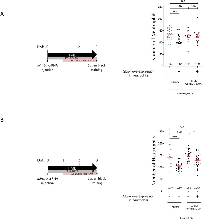 1-s20-S0145305X22000660-gr51.jpg 1-s20-S0145305X22000660-gr51.jpg