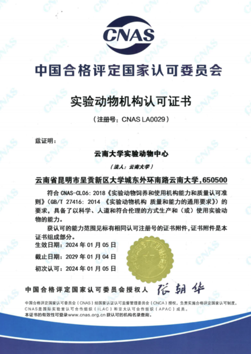 【云南】云南大學(xué)實(shí)驗(yàn)動(dòng)物中心順利通過CNAS實(shí)驗(yàn)動(dòng)物機(jī)構(gòu)認(rèn)可-江蘇網(wǎng)站制作