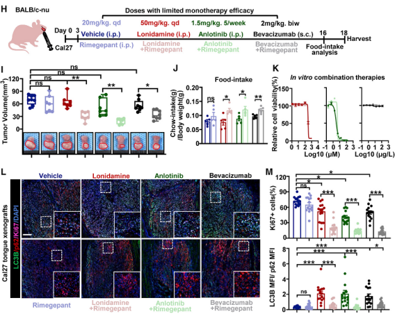 癌細(xì)胞借助神經(jīng)來(lái)對(duì)抗饑餓療法