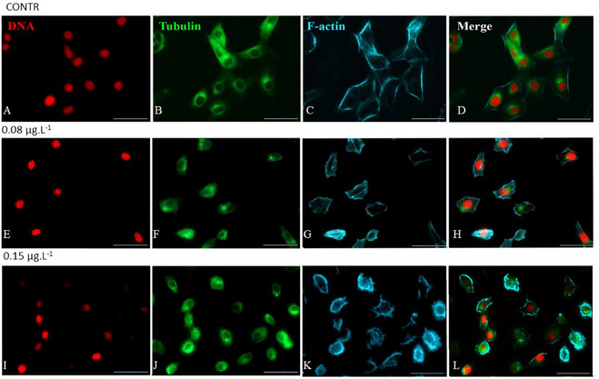 1-s20-S2666765722000436-gr2.jpg 1-s20-S2666765722000436-gr2.jpg