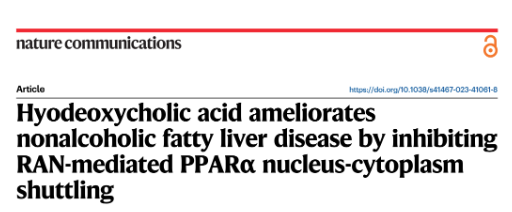 上海中醫(yī)藥大學研究者們揭示了豬去氧膽酸可以減輕非酒精性脂肪性肝病