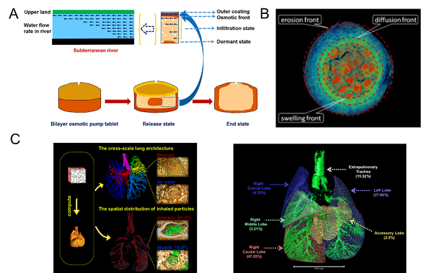 結(jié)構(gòu)藥劑學(xué)：從結(jié)構(gòu)發(fā)現(xiàn)到創(chuàng)新設(shè)計，探索藥物遞送系統(tǒng)的前沿-江蘇網(wǎng)站制作