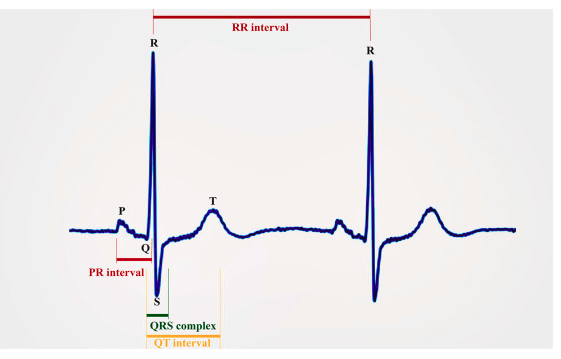 斑馬魚：1990年至2020年心率和心率變異性的定量測量調(diào)查