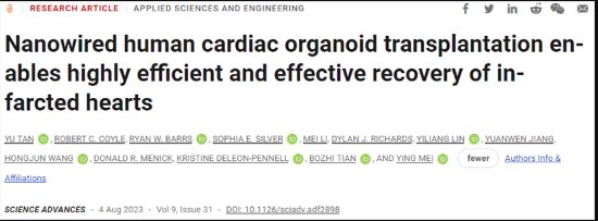 Science子刊：將人類多能干細(xì)胞衍生的心肌細(xì)胞與導(dǎo)電硅納米線相結(jié)合可改善梗塞心臟的修復(fù)